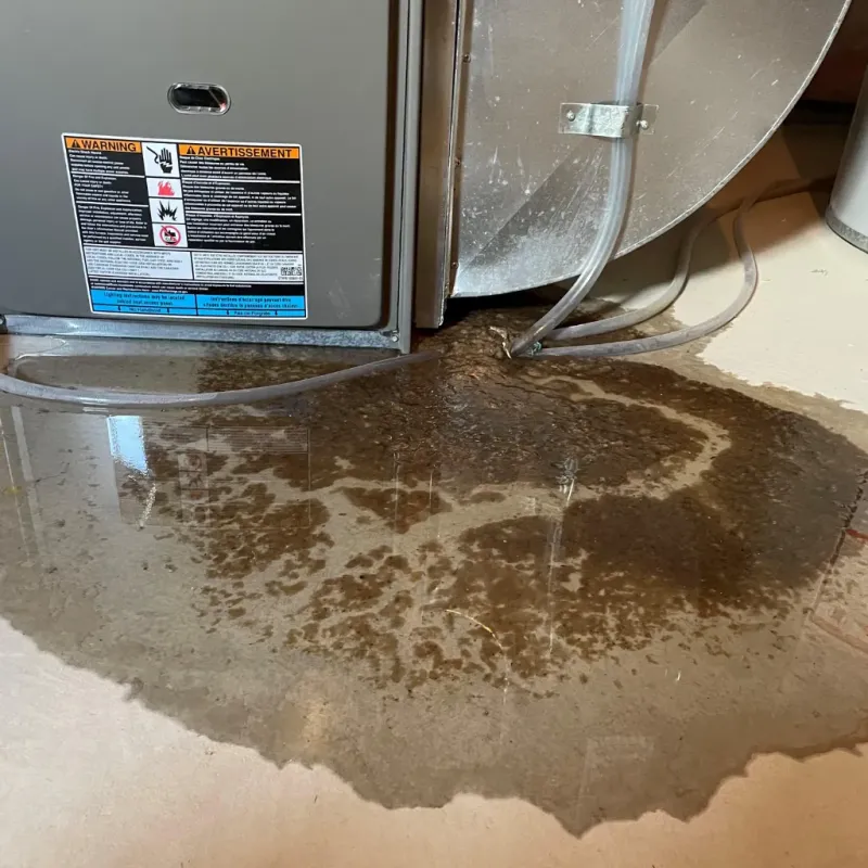 Appliance Leak Cleanup in Washington, NC